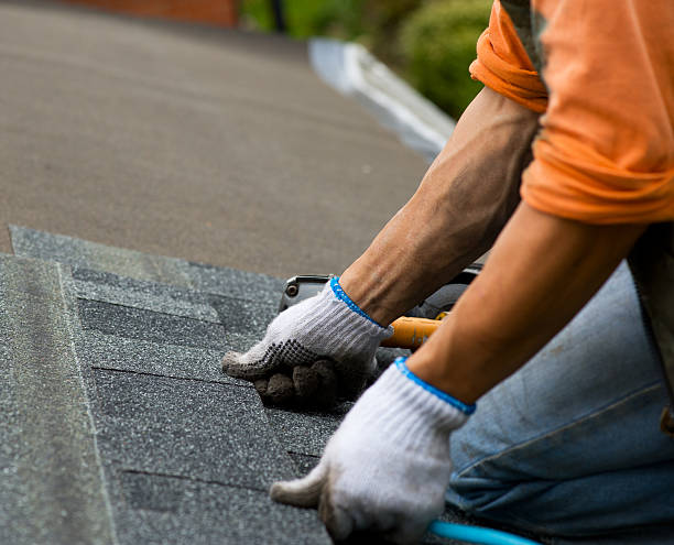 Best Roof Repair Services  in Hohenwald, TN