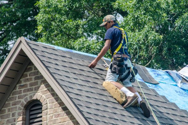 Best Affordable Roofing Company  in Hohenwald, TN
